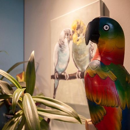 Apartament U Olechny 5 Bydgoszcz Ngoại thất bức ảnh