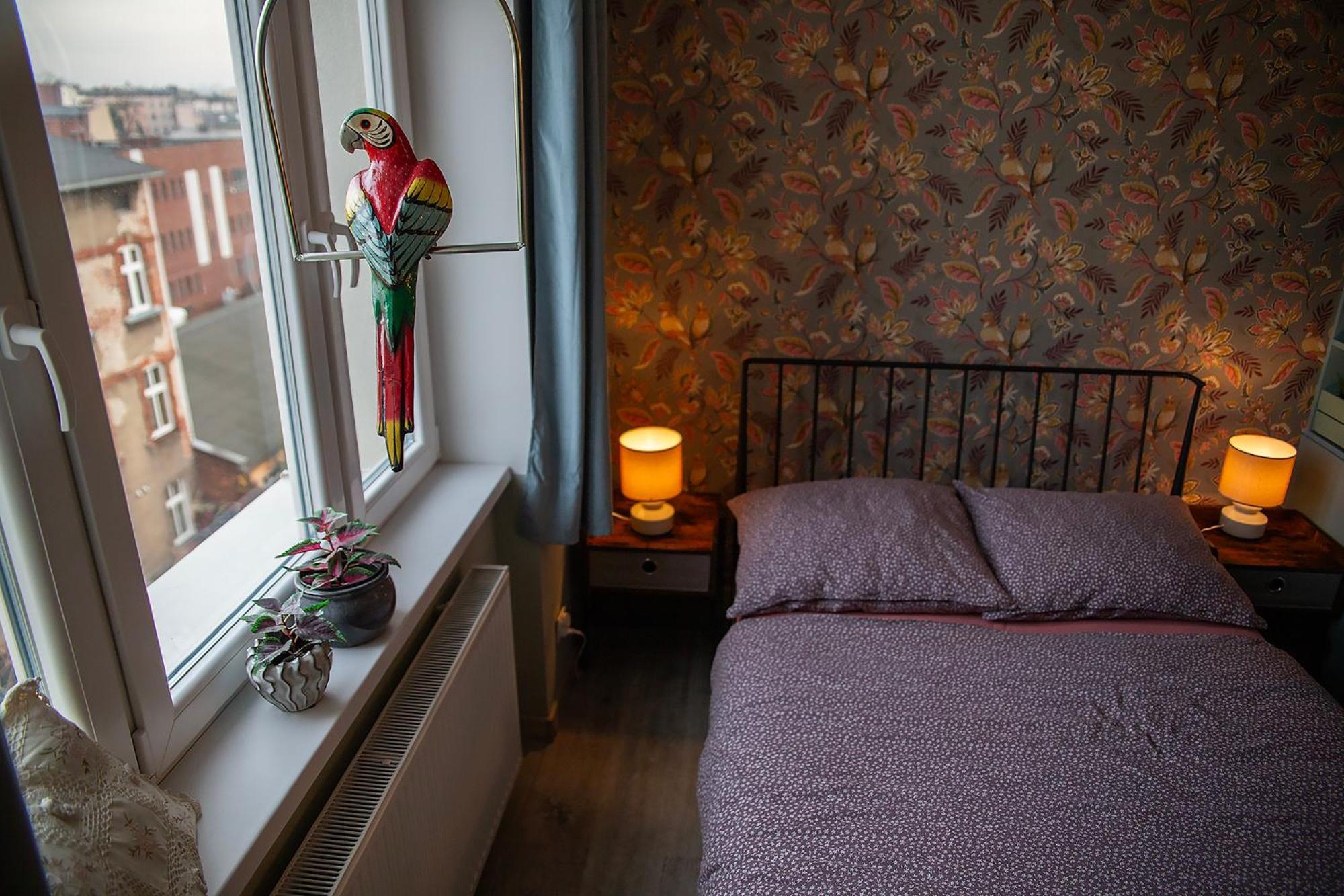 Apartament U Olechny 5 Bydgoszcz Ngoại thất bức ảnh